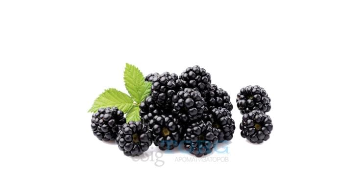 Ароматизатор My Flavor Blackberry
